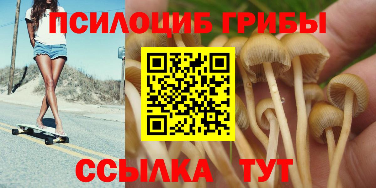 Псков  Галлюциногенные грибы Psilocybine cubensis  наркотики  Вход с VPN 
